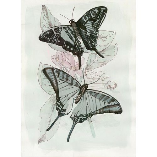 Butterfly Medley II