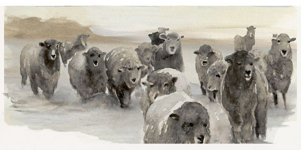 Winter Sheeps II