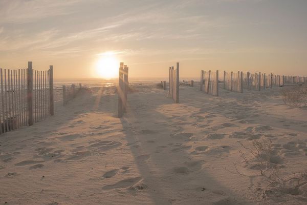 J:L Design 아티스트의 Sunset Beach Dune 작품입니다.