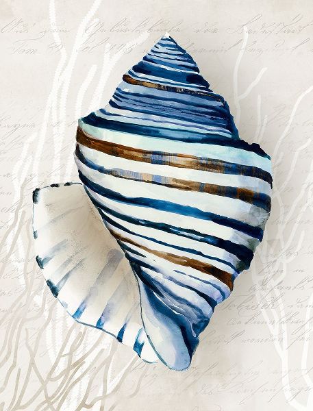 Wilson, Aimee 아티스트의 Blue Shell Series III작품입니다.