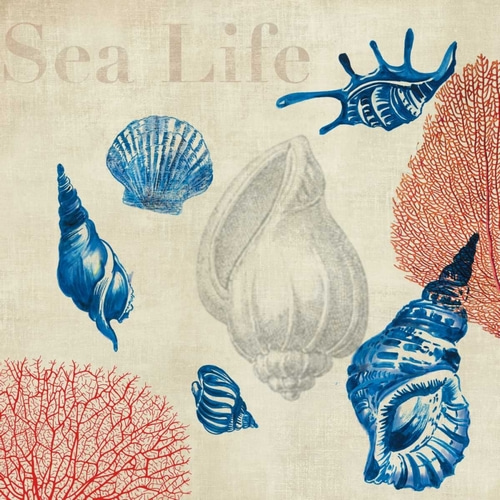 Sea Life Study