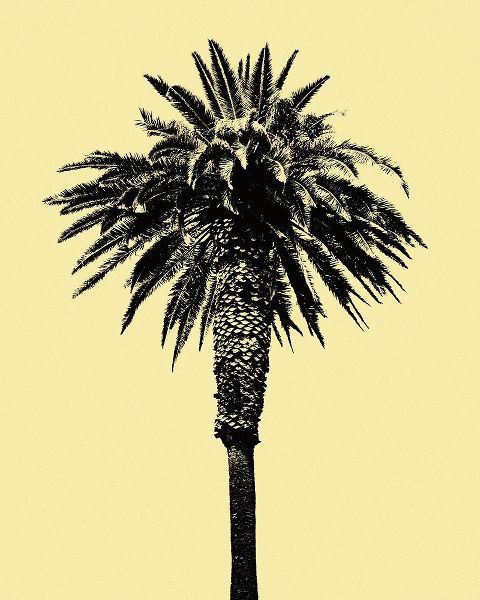 Palm Tree 1996 (Yellow)