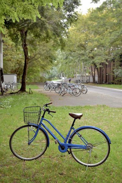 Blaustein, Alan 아티스트의 Japan Bicycle - 8작품입니다.