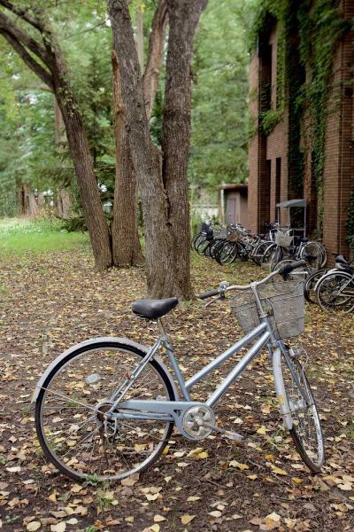 Blaustein, Alan 아티스트의 Japan Bicycle - 9작품입니다.