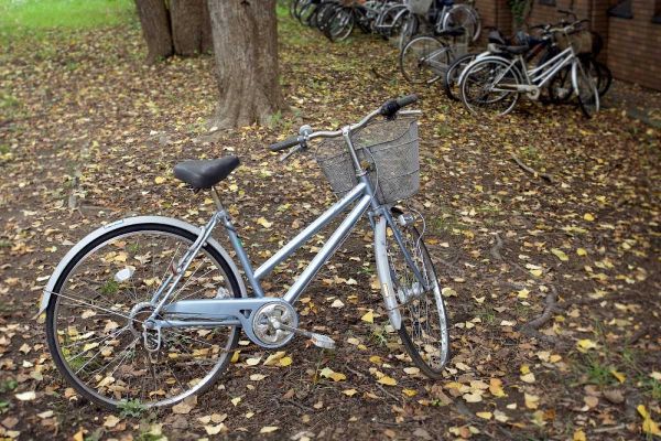 Blaustein, Alan 아티스트의 Japan Bicycle - 10작품입니다.