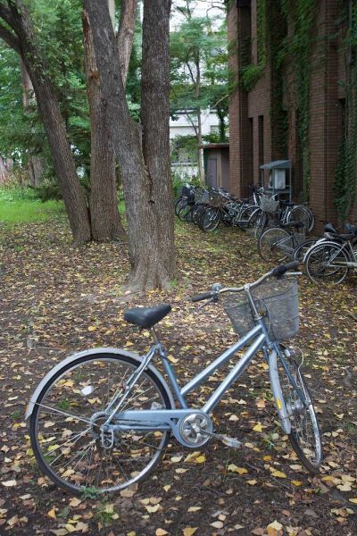 Blaustein, Alan 아티스트의 Japan Bicycle - 11작품입니다.
