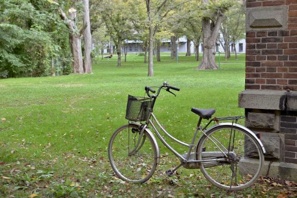 Blaustein, Alan 아티스트의 Japan Bicycle - 14작품입니다.