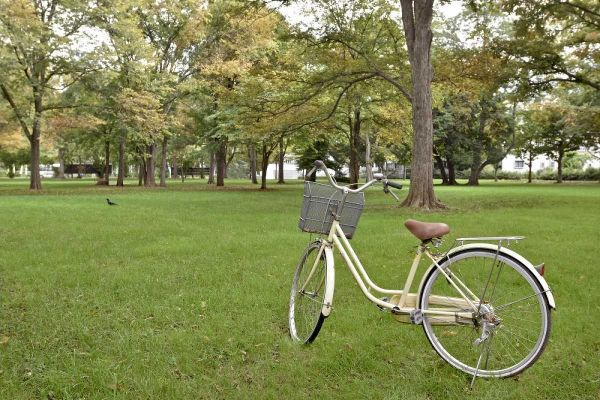 Blaustein, Alan 아티스트의 Japan Bicycle - 21작품입니다.