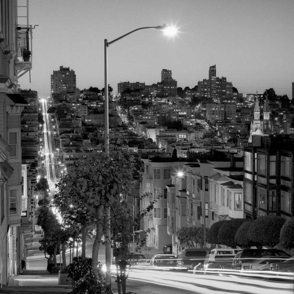 San Francisco Skyline - 2