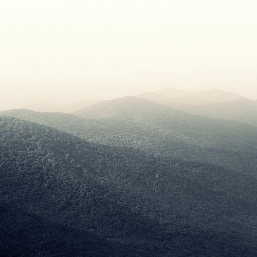 Bell, Nicholas 작가의 Sunrise, Smoky Mountains 작품