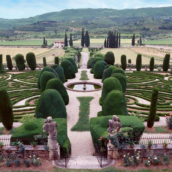 Blaustein, Alan 아티스트의 Italia Gardens No. 12작품입니다.