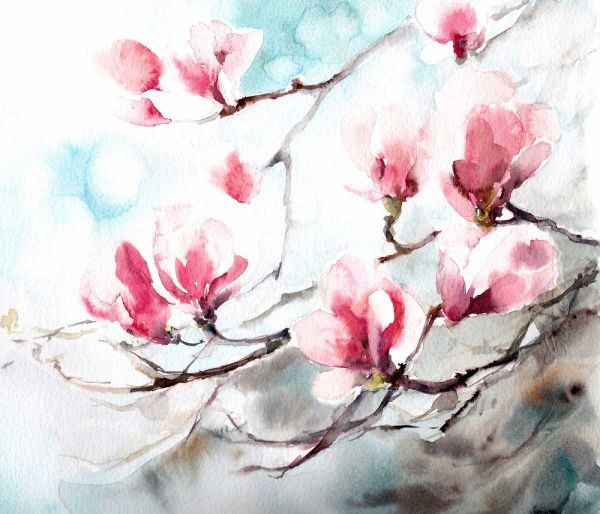 Magnolia - Spring