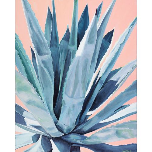 Agave with Coral