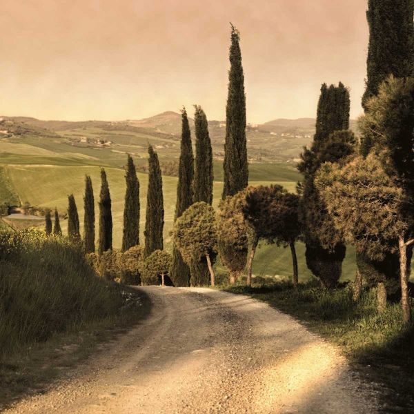 Country Lane Tuscany