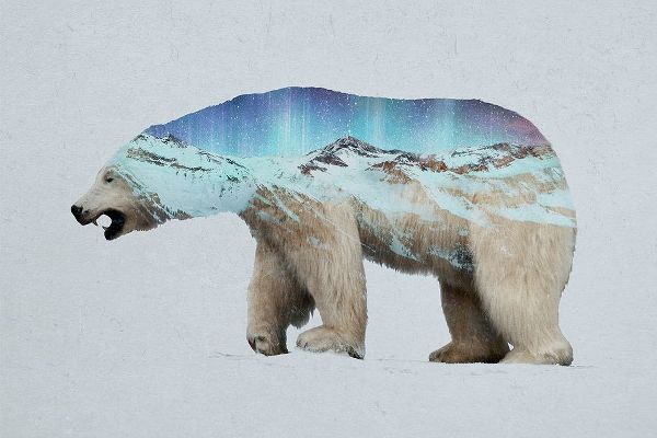 The Arctic Polar Bear