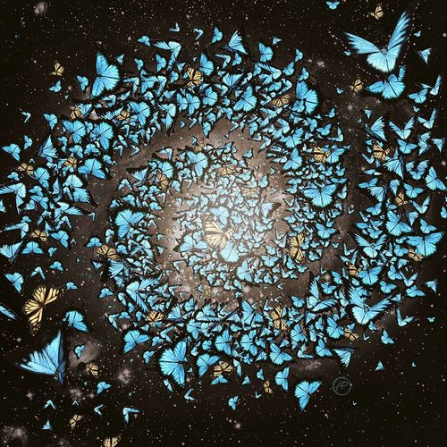 Flores, Paula Belle 작가의 Butterfly Galaxy 작품
