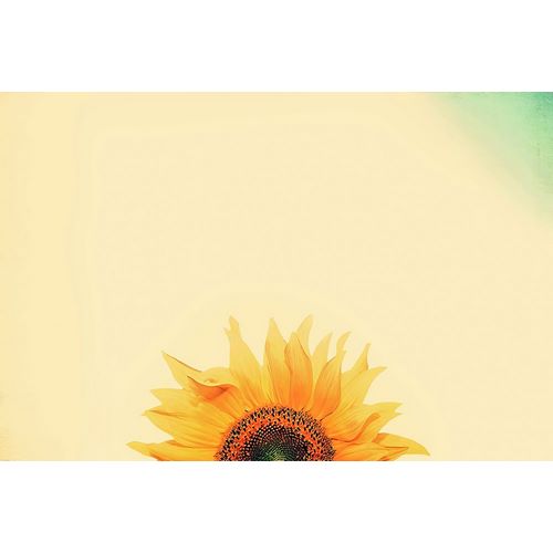 Grippo-Pike, Carrie Ann 아티스트의 Sunflower Sunrise작품입니다.