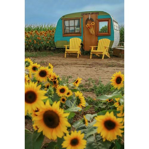 Grippo-Pike, Carrie Ann 아티스트의 Vintage Camper and Sunflowers 1작품입니다.