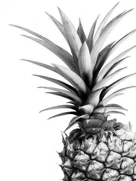 Pineapple - BW