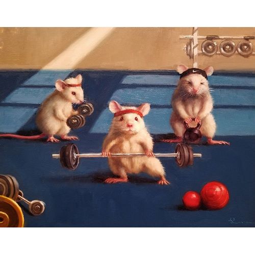Gym Rats