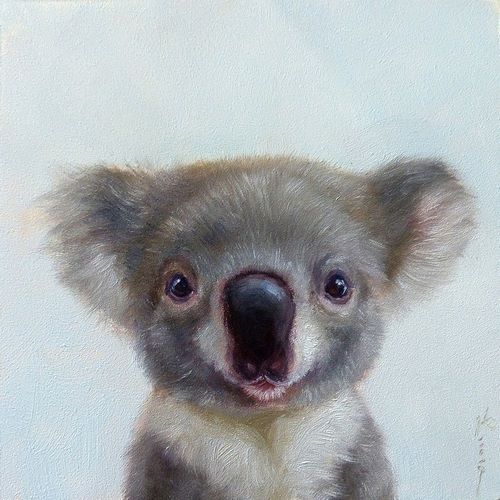 Lil Koala