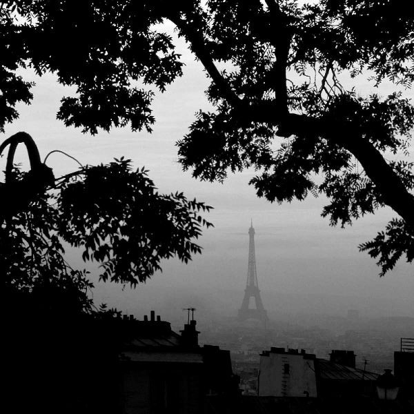 Eiffel Tower View 1