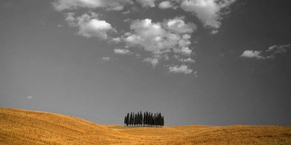 Toscana Landscape