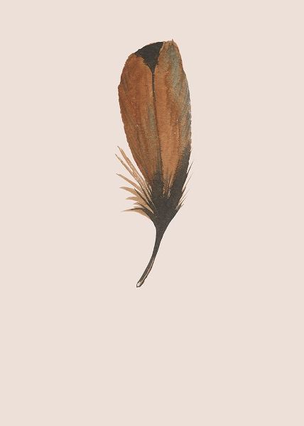 Feather 08