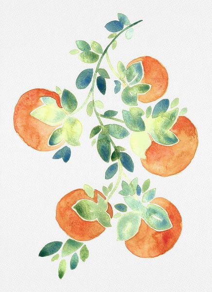 Juncos, Cami 아티스트의 Watercolor Oranges작품입니다.