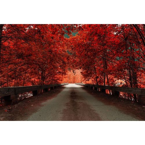 Bridge (Red)
