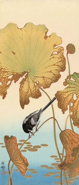Koson, Ohara 아티스트의 Japanese Wagtail on Lotus Plant, 1925-1936작품입니다.