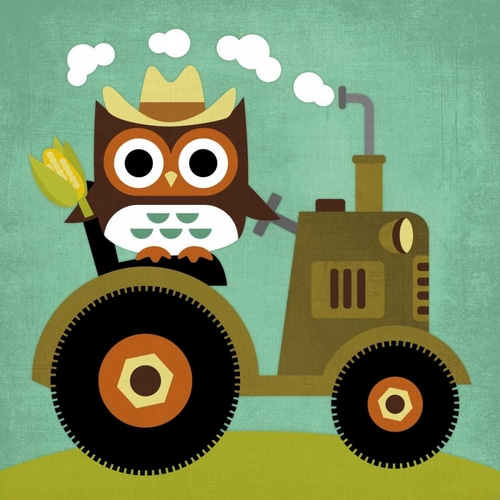 Owl on Tractor