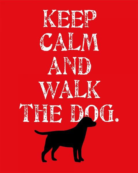 Keep Calm - Labrador