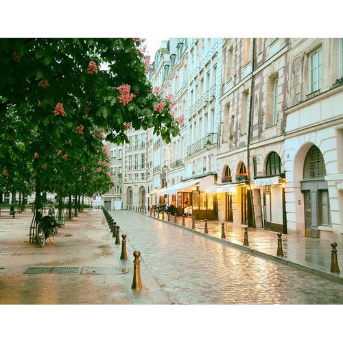 Paris in Chesnut Blossom Pink