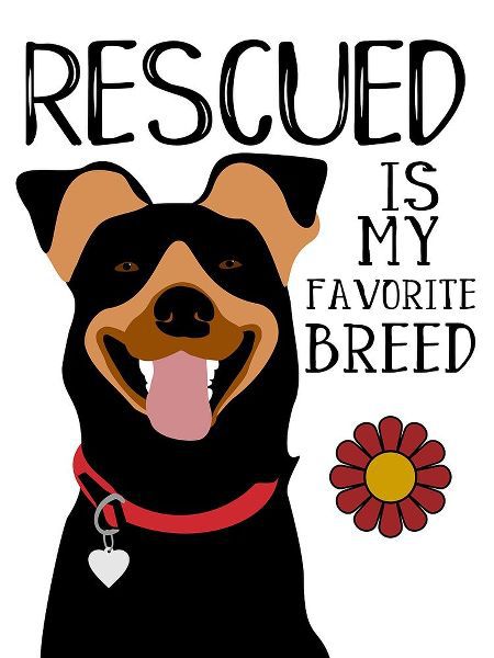 Rescued is my Favorite Breed