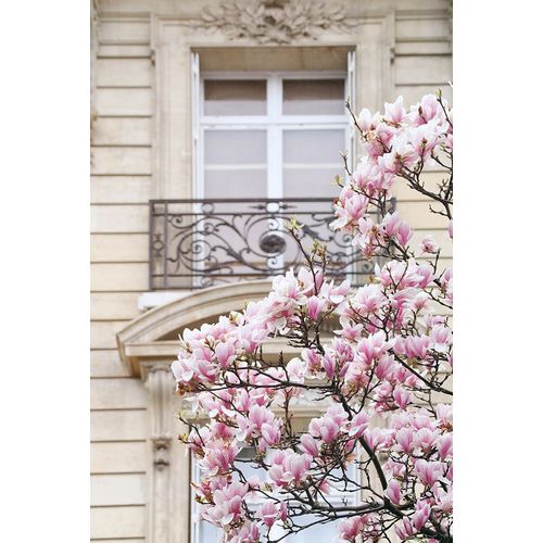 Okula, Carina 아티스트의 Spring Magnolias in Paris작품입니다.