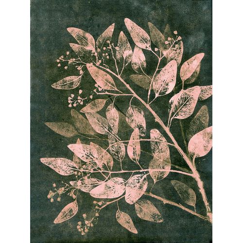 Folcarelli, Pernille 아티스트의 Eucalyptus 1 Moss Blush작품입니다.