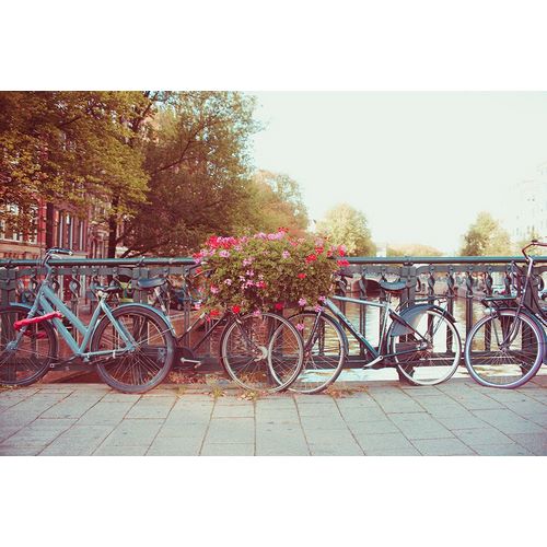 Quintero, Sonja 아티스트의 Amsterdam Bikes No. 1작품입니다.