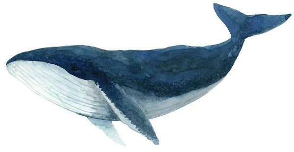 Saylor, Jeannine 아티스트의 Humpback Whale - Blue 작품