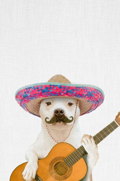 Dog Guitarist