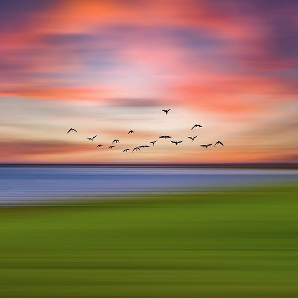 Vitomirov, Igor 아티스트의 Birds In The Sunset작품입니다.