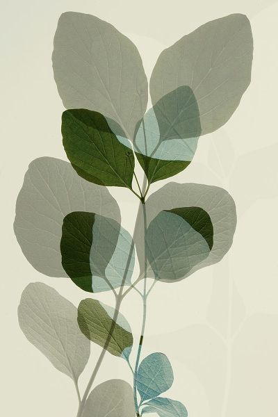 Winstanley, Ian 아티스트의 Green Leaves 10 작품