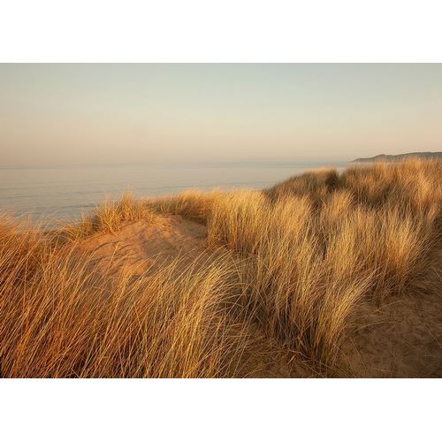 Winstanley, Ian 아티스트의 Dunes with Seagulls 7 작품