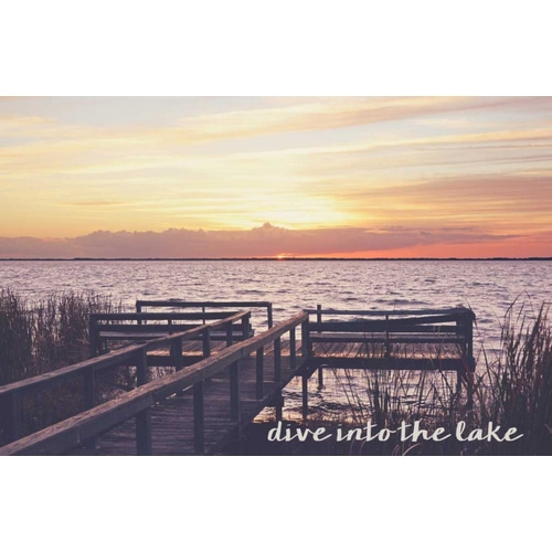 Dive Into The Lake