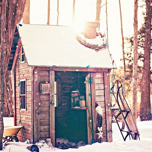 Holiday Shed
