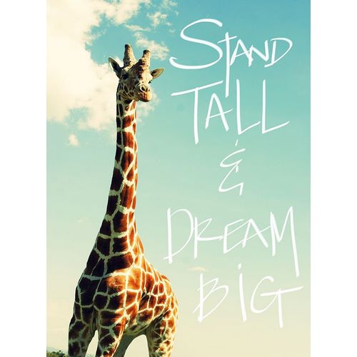 Stand Tall And Dream Big