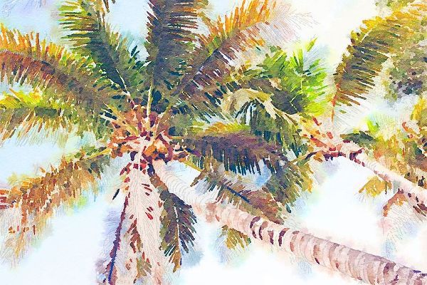 Sideway Watercolor Palms II