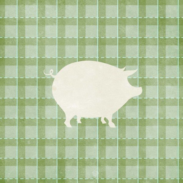 Farm Pig on Plaid