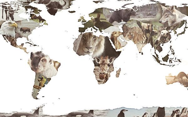 SD Graphics Studio 작가의 World Animals Map 작품