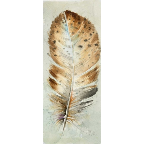 Watercolor Feather III